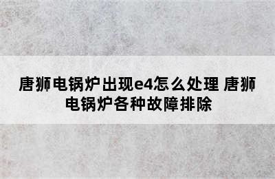 唐狮电锅炉出现e4怎么处理 唐狮电锅炉各种故障排除